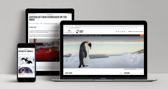 Australian Antarctic Program responsive website displayed on three devices: a laptop, a tablet and a mobile phone.