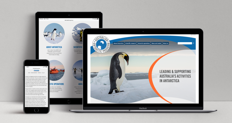 Australian Antarctic Division website - concept design displayed on three devices: a laptop, a tablet and a mobile phone.